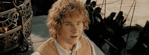 Random LOTR Gifs Pt ?????