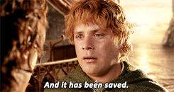 lord of the rings daily