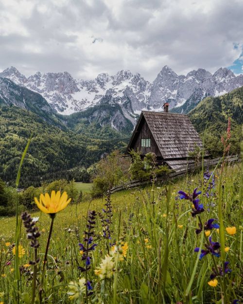 traveltoslovenia: SLOVENIAN ALPS, Slovenia - spring has finally arrived to the mountains of the Slov