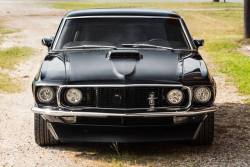 Mustang Fanatic