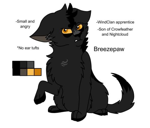 Breezepelt (Breezepaw, Apprentice version)(2022 version)