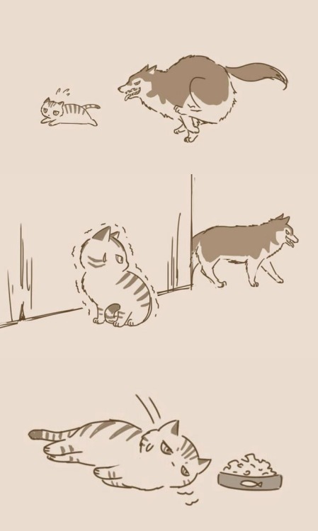 princesstigerbelle: kirujin: pr1nceshawn: Dogs And Cats by Lynol . aw It’s 2 am and I swear I&