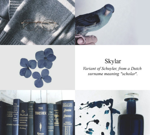 Aesthetic name: Skylar – Ravenclaw, requested by skylxrjewell 