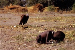 whitegirlsaintshit:  quickweaves:  curvesincolor:  This photo won the “Pulitzer Prize” in 1994 by Kevin Carter. The picture shows a sick and hungry child crawling to the UN food camp located about half a mile away. The vulture is waiting for the kid