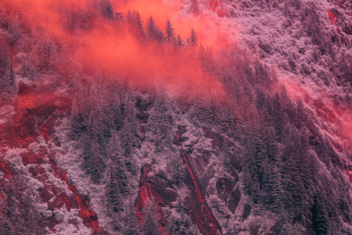 landscape-photo-graphy:Exquisite Infrared Pictures of Alaska by Bradley G. Munkowitz