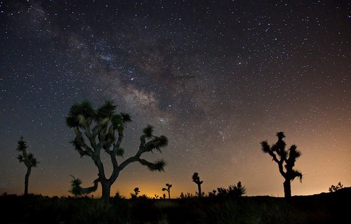 showslow:Artistic Landscape Photography by Sean Bagshaw