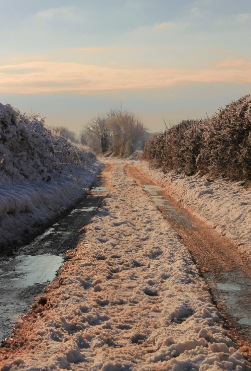 mushy snowy shitty road in Norfolk /2012