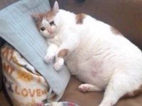 Some Pictures Of Me After Watching Good Omens S2