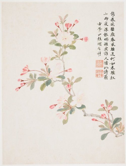 heaveninawildflower: Blossoms from ‘Album of Ten Leaves’ (1656) by Xiang Shengmo (Chinese, 1597-1658