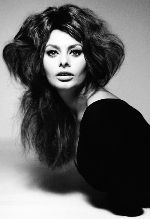 gatabella:Sophia Loren by Richard Avedon, 1961