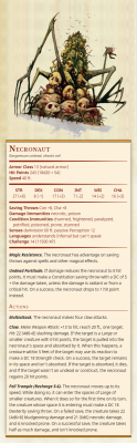 petrify spell 5e petrify spell 5e