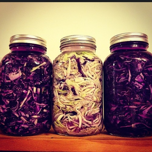 Today is a very exciting day because I finally got around to fermenting cabbage for the first time! 