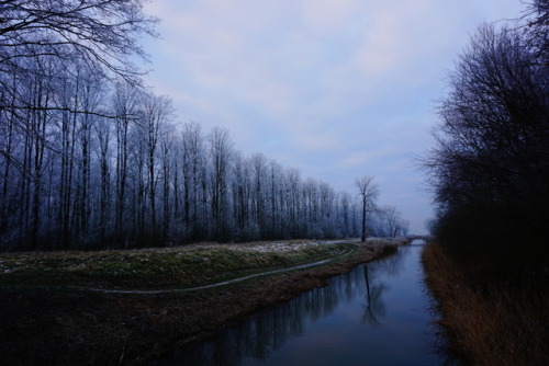 Wisenttocht canal.Wisentbos, Dronten, Netherlands.