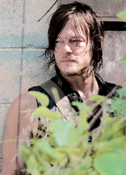 Daryl Dixon | The Walking Dead