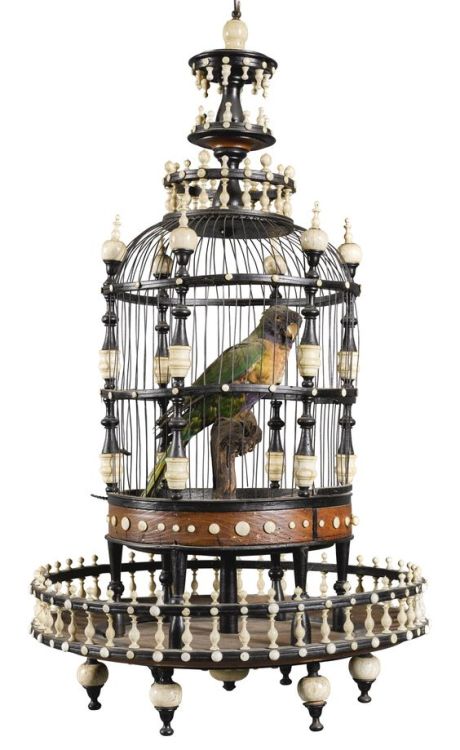 BirdcageOak, ivory and ebonised woodProbably FrenchLate 19th century