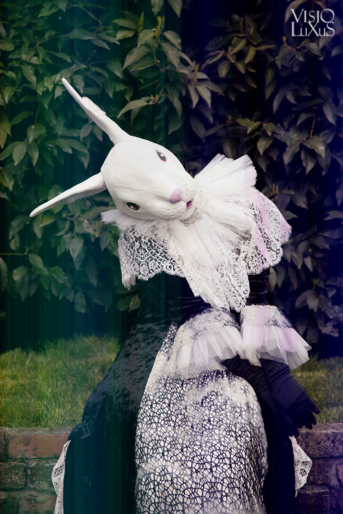 kambriel:  visioluxus:  Fancy Rabbit  Fashion and rabbiting by kambriel​  C’est moi! Hopping around 