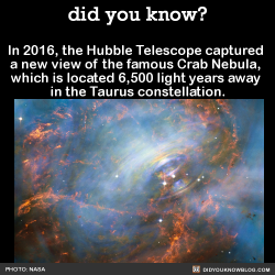 did-you-kno:  In 2016, the Hubble Telescope captured  a new view of the famous Crab Nebula,  which is located 6,500 light years away  in the Taurus constellation.  Source Source 2