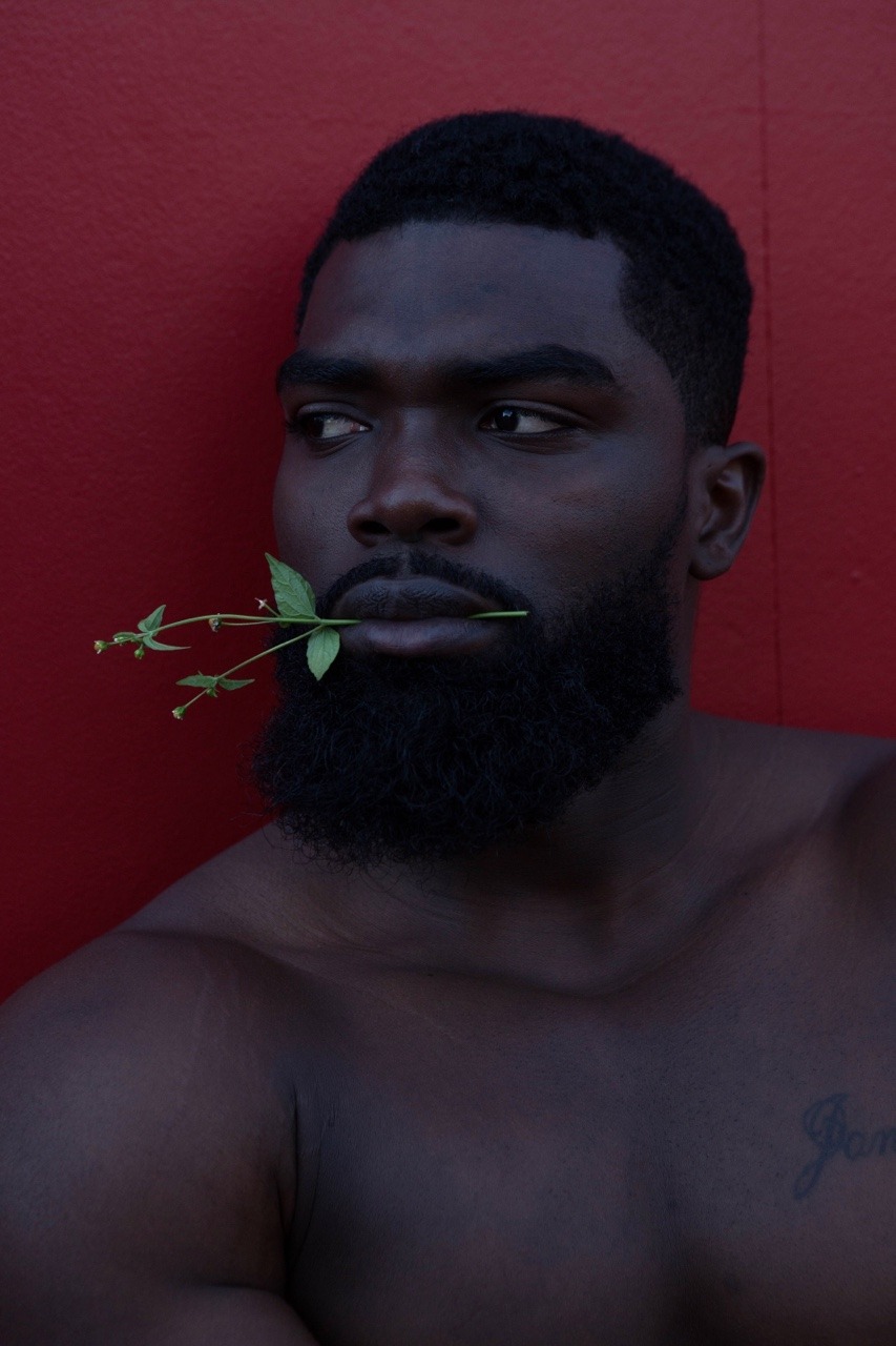 sethnocentric: Herb 🌿  Shot by @sethnocentric Instagram.com/sethnocentric  Follow