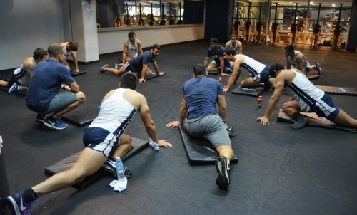 giantsorcowboys:  Ready To Spring Into ActionThe Pumas Make Sure That They Are Limber To Spring Into The Scrum!Stretch Those Muscular Hindquarters, Baby!