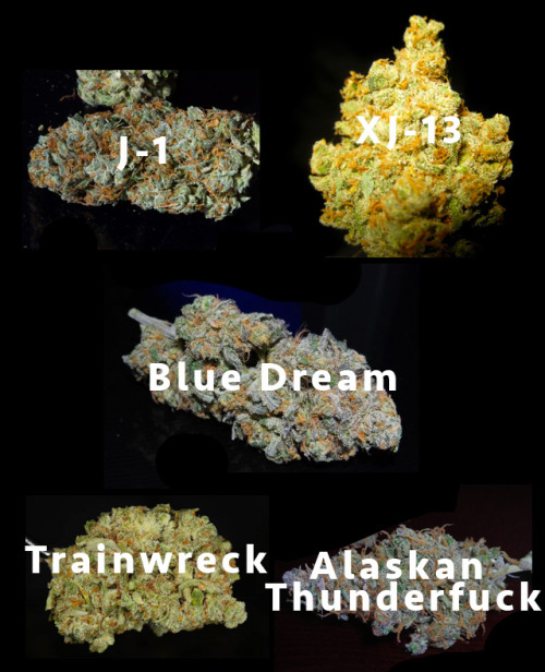 7daystheory: As marijuana laws get changed around the country, people are waking up to the positive 