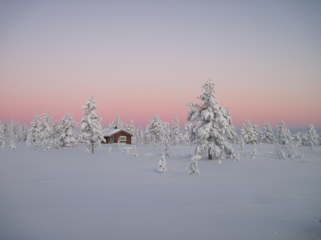 Log cabin in a Norwegian boreal forest.
Contributed by Sergei Evdokimov.