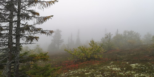 michaelnordeman: On the way down from Östertangen in Dalarna, Sweden. 