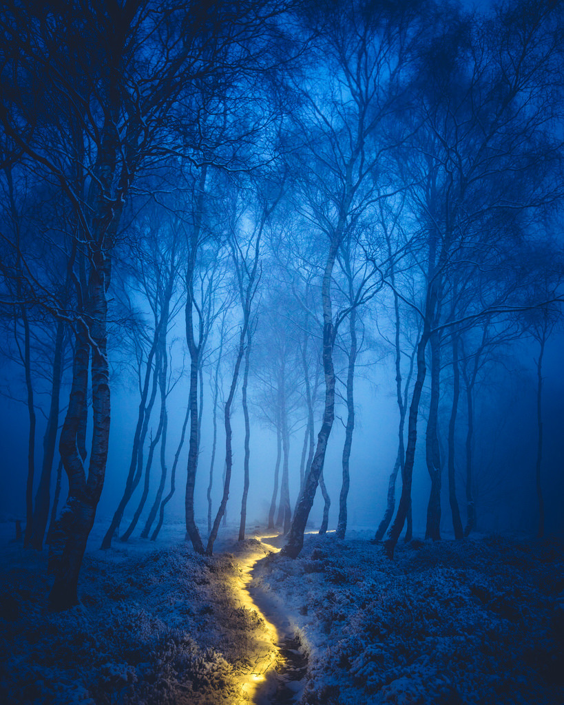 magic-spelldust:  Fairy Path by  	James Mills 
