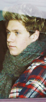 imsohoranyniall:  niall needs to stop wearing flannies cause i’m gonna pop a blood vessel  