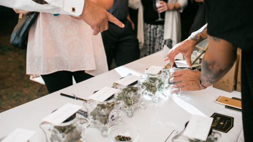 weed-breath: thisbitchishigh: cannabuddies: 666-grams: mashable: This gives open bar a wholeeee new 