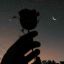 eclipseinyoureyes