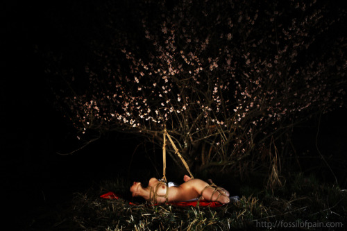 fossilofpain:  model: muse / photography by 石舟煌 Koh Ishifune http://fossilofpain.com 