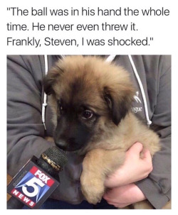 tastefullyoffensive:  Breaking news. (via