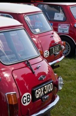 carexpress25:  mini coopers