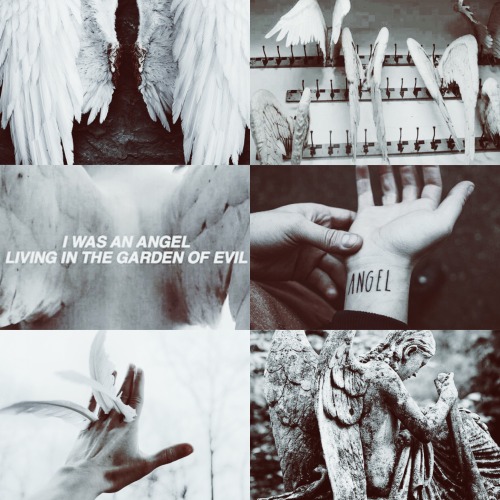 bxnsheebxdlxnds:Supernatural creatures Angels “A spiritual being believed to act as an attendant, ag