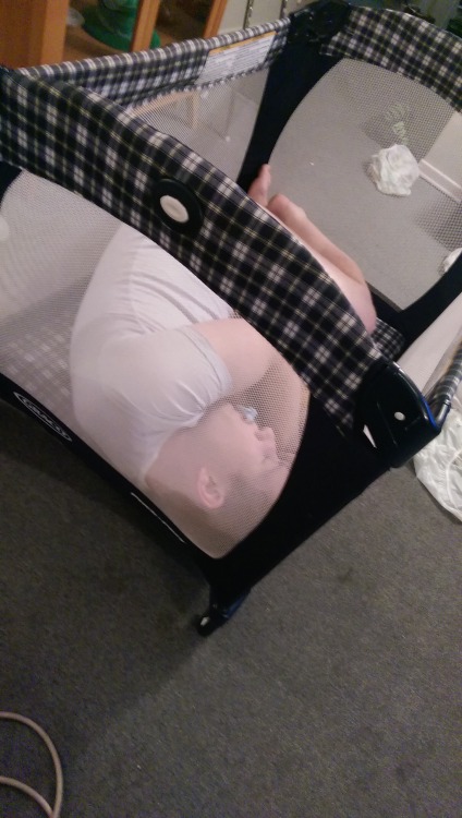 lilpaddedginger: Laying in a playpen was so relaxing and made me feel so lil :3