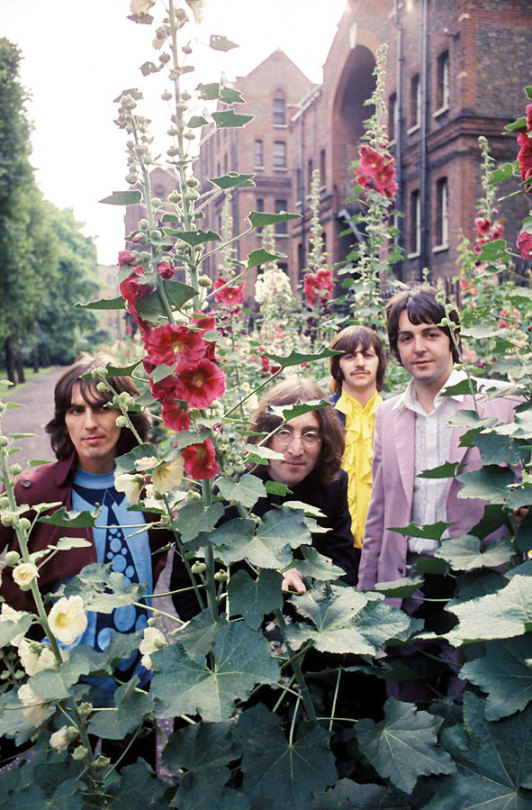 THE BEST PICTURES OF THE BEATLES IN COLOR