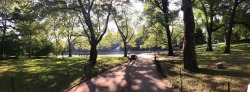 releasings:  I fell in love with Central Park. 