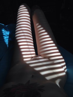 gypsyrose27:  Blinds.