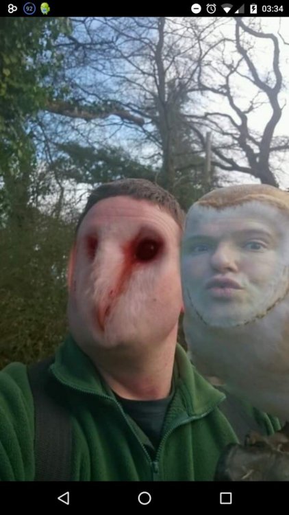 collegehumor:  10 Face Swap Nightmares Straight Out Of Hell “I wonder what I’d look like as an owl” 