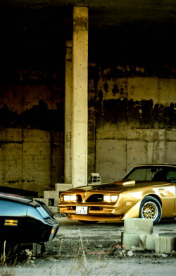h-o-t-cars:     1978 Pontiac Trans Am by walnajdawi