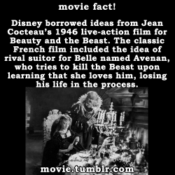 movie:  Beauty and the Beast facts - more