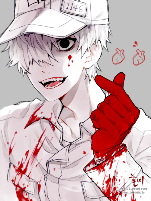 white blood cell