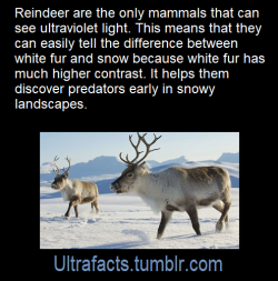 ultrafacts: Source: [x] Click HERE for more