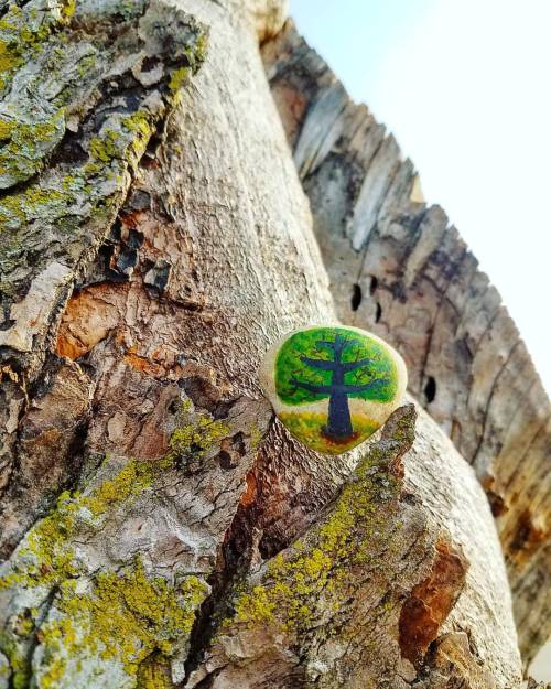 Day 42: #rockmy365days#rocks #stones #doodle #365project #artproject #art #rockart #tree #trunk #t