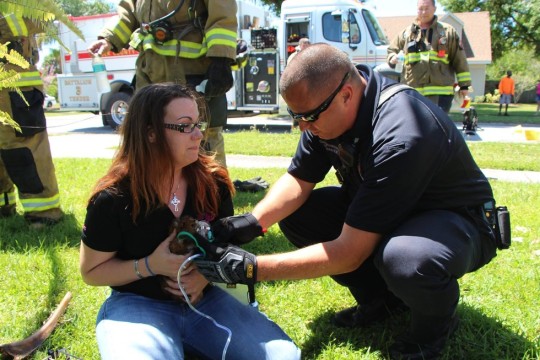 Porn RODNEY’s STORY ~ Firefighters rescue guinea photos