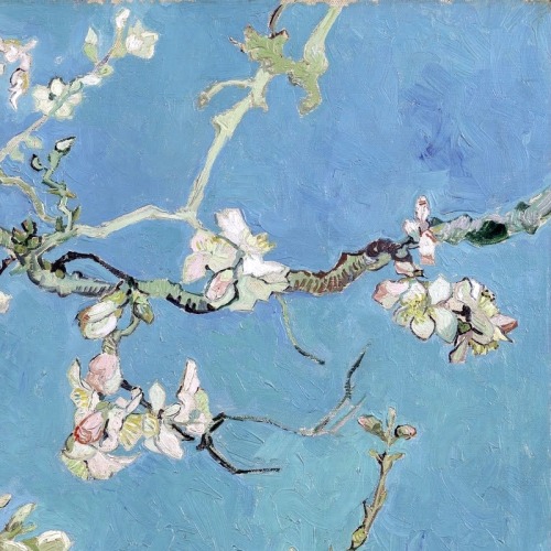 lonequixote: Almond Blossom (detail) ~ Vincent van Gogh