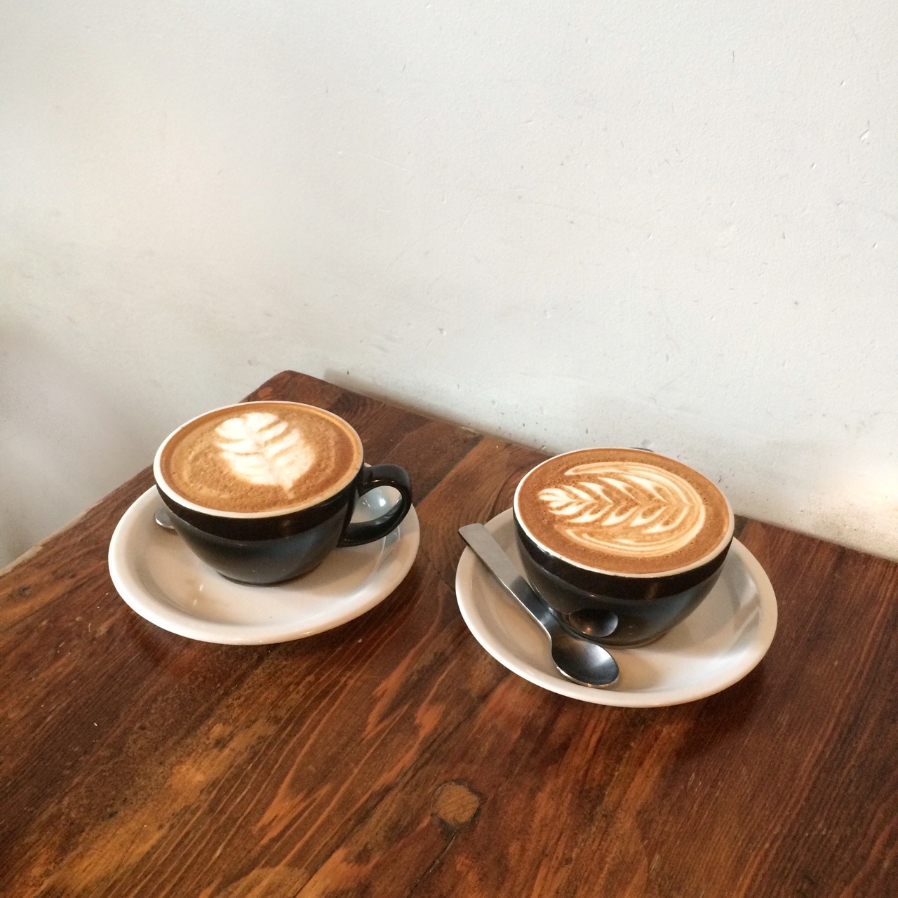 lattefoam:  coffee and the art gallery w suspiciousmilk aka an actual green bean
