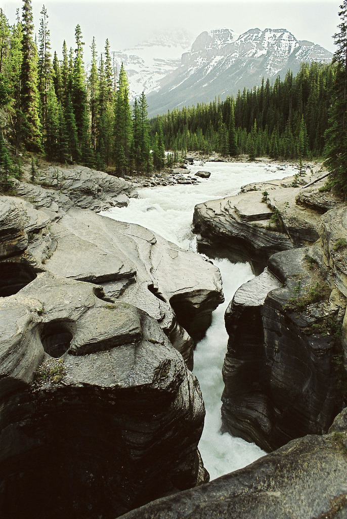 brutalgeneration:  06 (by orvalrochefort) 