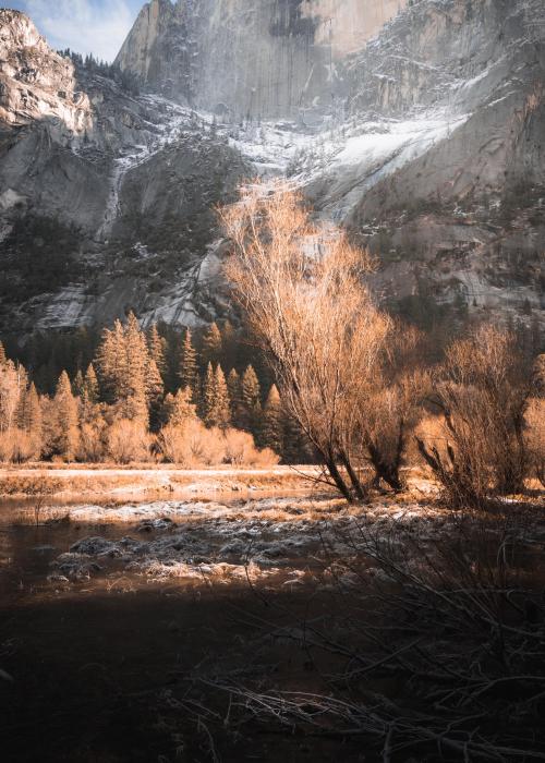 oneshotolive:  Cold scene hiking under Half Dome. Yosemite, CA. [OC] [4160X5824] 📷: whatsaustindoin 