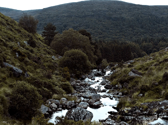 1e72db0d074a0a80b2f9200bc18c3c22bea82295.gif